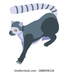 Primate lemur icon. Isometric of primate lemur vector icon for web design isolated on white background