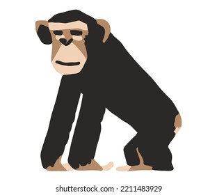 Primate monkeys ape - vector illustration