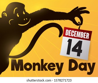 Primate silhouette holding a loose-leaf calendar, remembering at you to celebrate Monkey Day in December 14.