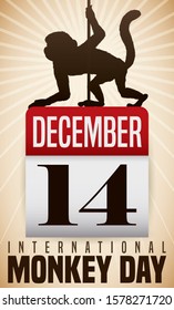 Primate silhouette over a calendar with reminder date to celebrate International Monkey Day in December 14.
