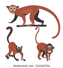 primate species character vector illustration concept design