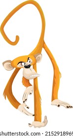 primate species icon funny monkey cartoon character