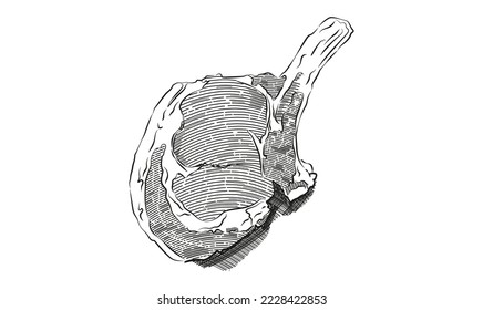 Prime rib vector drawing. Beef or lamb Red meat hand drawn sketch. Engraved raw food illustration. Vintage object. Butcher shop product. Great for label, restaurant menu.