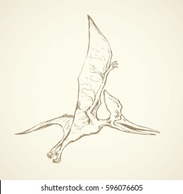 Primeval fauna, Cretaceous Period. Huge zhenyuanopterus theropod. Linear black ink hand drawn picture sign sketch in art doodle retro style pen on paper. Closeup view and space for text on white sky