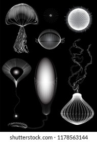 primitive organisms set, jelly,unicellular