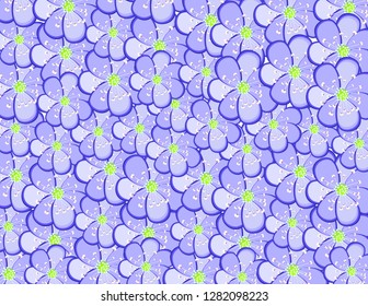 Primrose blue flowers background