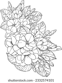 Primrose bouquet, of flower design for card or print. hand-painted flower illustration isolated on white, engraved ink art floral coloring pages, and books for print, pretty flower colorin pages