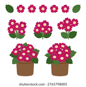 Primrose clipart set in red, white and yellow including flowers, leaves, bouquets, and potted arrangements. Great for spring designs, festive themes, and decorations.