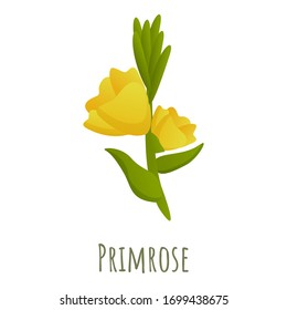 Primrose flower icon. Cartoon of primrose flower vector icon for web design isolated on white background svg