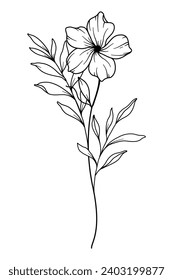 Primrose flower Line Art. Primrose outline Illustration. February Birth Month Flower. Primrose outline isolated on white. Hand painted line art botanical illustration.