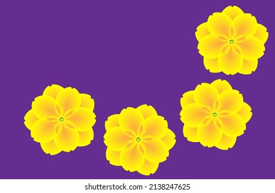 Primrose flower petals on purple background.