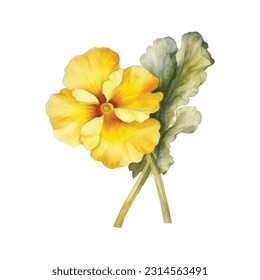 Primrose Flower watercolor illustration. Hand drawn underwater element design. Artistic vector marine design element. Illustration for greeting cards, printing and other design projects.