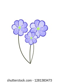 Primrose flowers blue svg