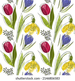 Primrose flowers drawing seamless pattern for holiday. Colorful illustration.