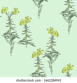 Primrose Flowers Seamless Pattern. Hand Drawn Floral Illustration.