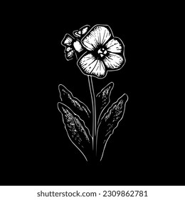 Primrose - High Quality Vector Logo - Vector illustration ideal for T-shirt graphic