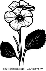 Primrose - High Quality Vector Logo - Vector illustration ideal for T-shirt graphic