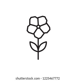 primrose icon vector