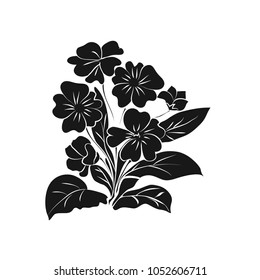 Primrose illustration on white background. Black silhouette of primula on white background. Vector illustration