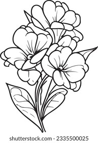 primrose line drawings, hand-painted primrose  wall art, Primula denticulata botanical wall art, simple primula drawing, bellflower stock outline drawing, primrose flower line art,