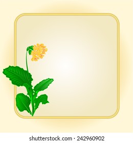 Primrose spring flower  gold background frame place for text vector illustration 