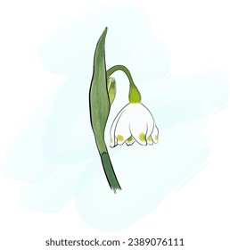 
Primrose or spring snowflake vector illustration 