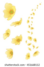 Primroses flower set. Set of five primroses and decoration of flowers in the wind. Vector