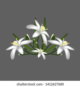 Primroses flowers white decor isolated svg