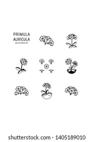 Primula - vector icons set. Symbol for web, infographics, print design and mobile UX/UI kit. Vector illustration, EPS10.