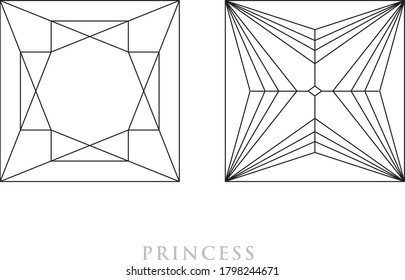 Princess diamond cut shape and design diagrams with the name vector illustration,  isolated on white background. 