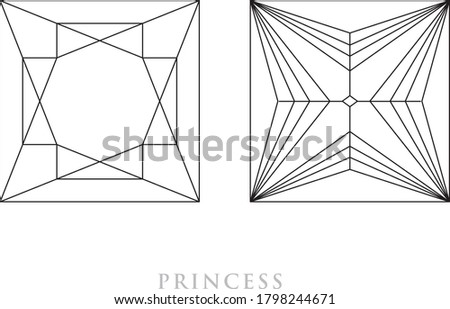 Princess diamond cut shape and design diagrams with the name vector illustration,  isolated on white background. 