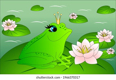 princess frog, in a swamp among water lilies