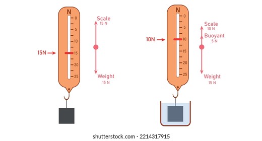 Archimedes’ principle experiment. Free body diagram. Buoyant force. Law of floatation. Vector illustration isolated on white background.