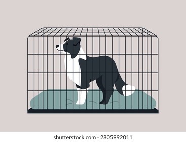 The principles of crate training of a sheepdog dog, The crate features a soft mat, emphasizing comfort while providing a secure area for the pet.