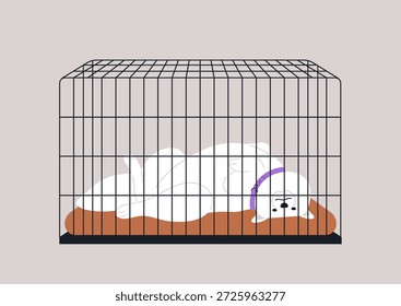 Os princípios de treinamento de caixote de cachorro, A caixa apresenta um tapete macio, enfatizando o conforto enquanto proporciona uma área segura para o animal de estimação.