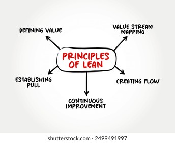 Principles of Lean Services - application of lean manufacturing production methods in the service industry, mind map text concept background