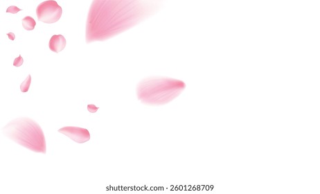 pring blossom isolated petals flying on transparent background. Wedding celebration eps. Pastel pink blossom petals
