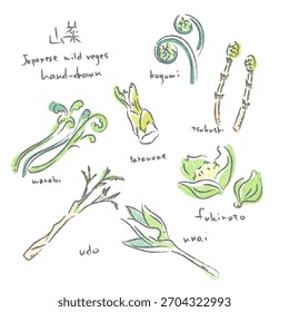 pring wild vegetable illustration set: Hand-drawn watercolor-style warm illustrations