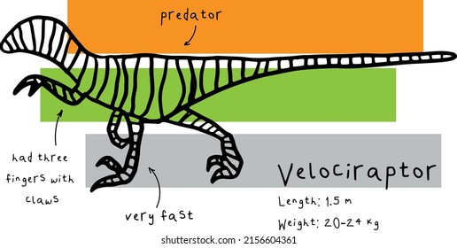 Print with abstract velociraptor and facts. Print with dino for textile, fabric, kids, boy, t-shirt, Web, clothes, socks and other design.