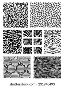 Print of animal skins, vector Illustration