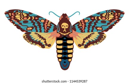 Print Butterfly Vector Illustration