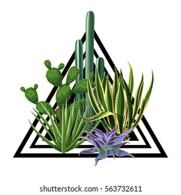 Print with cactuses and succulents set. Plants of desert.