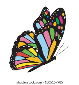 Print Colorful Butterfly Canvas. white background