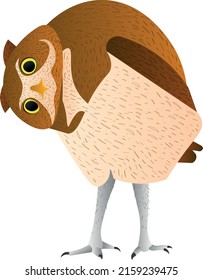 Print curious owl for print or logo