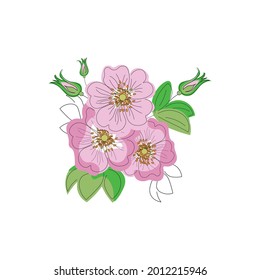 print with delicate pink rose hips on a white background 