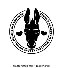 Print design in the head of a donkey and a circular inscription There s no love like mules love, I love mules, mules id all you need . Donkey head black and white sketch on a white background vector