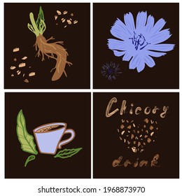 print design set of square cards with chicory flower, granules, root, lettering and drink cup