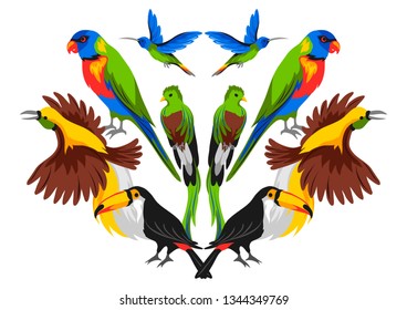 Print design with tropical exotic birds. Wild fauna of jungle and rainforest.