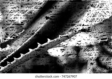 Print distress background in black and white texture with spots, scratches cacti with thorns and lines. Abstract vector illustration