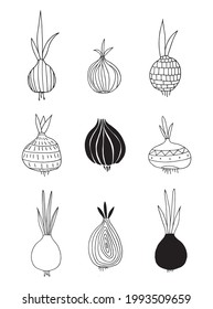 Print with graphic onion. Doodle sketch